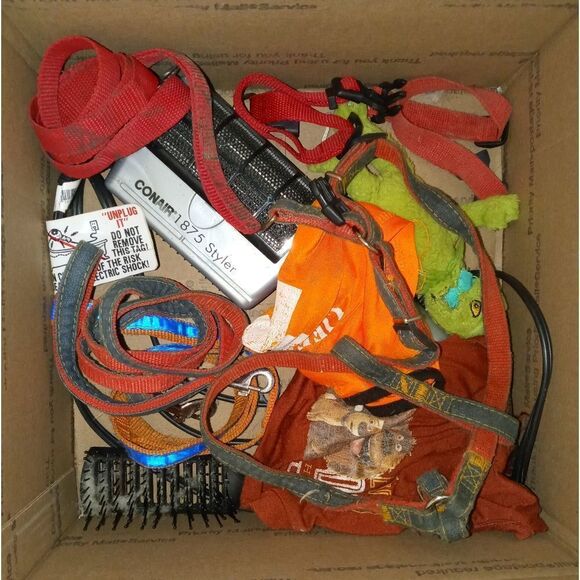 Surprise pet toy, clothing or accessory - Picture 6 of 9